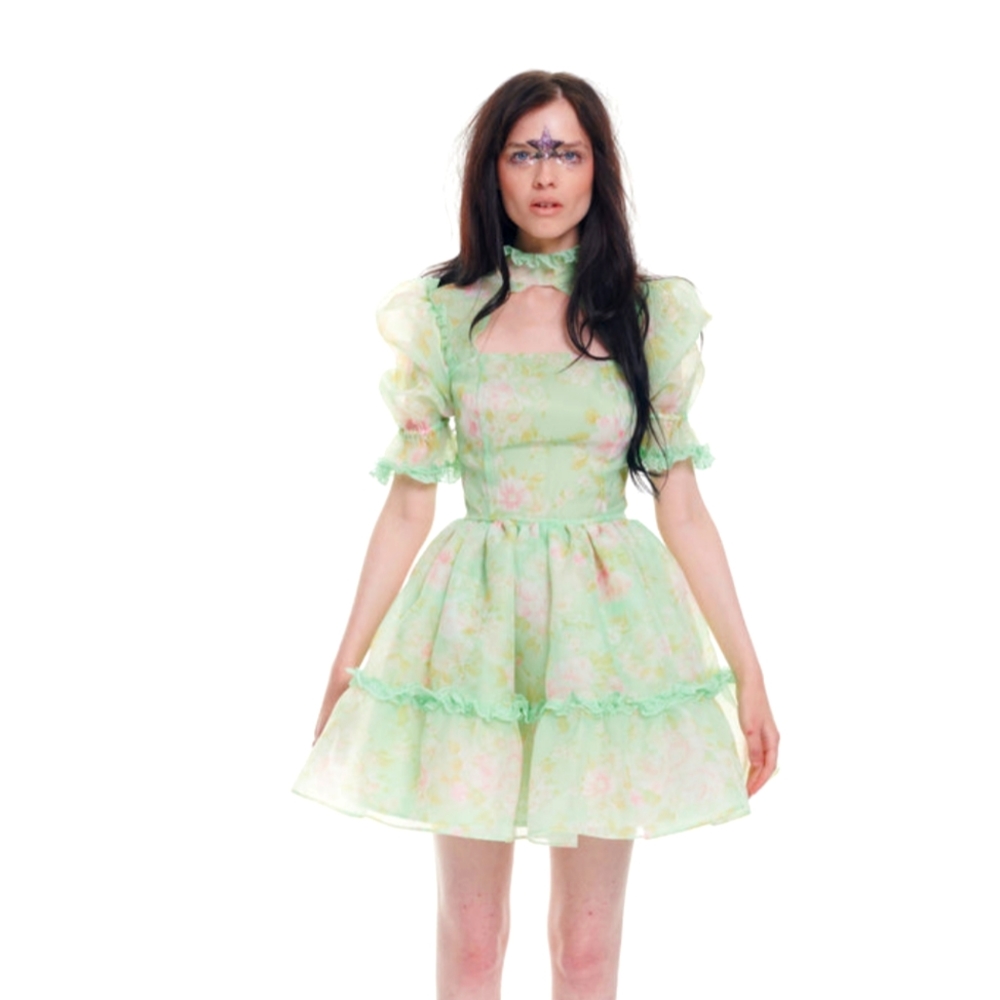 Selkie The 18th Acid Trip Dress 5x NWT